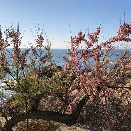 Mar I Llum * S'agaro